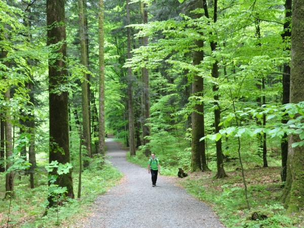 Croatia national parks walking holiday