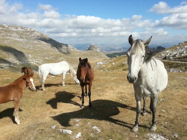 Self guided trekking holiday in Montenegro