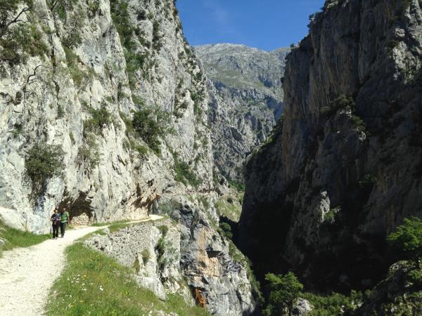 Picos de Europa hiking holiday, Spain