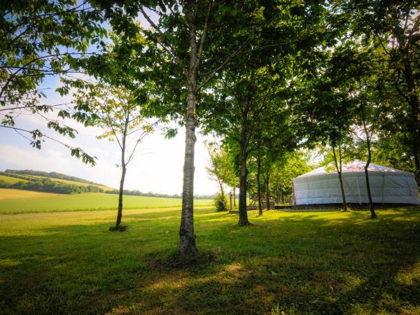 South Downs Mongolian yurt stay, England