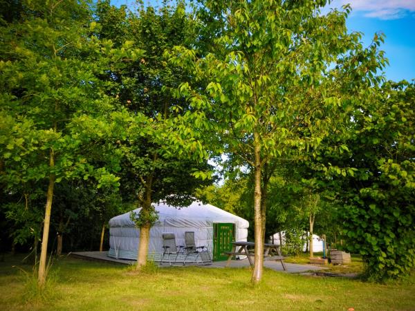 South Downs Mongolian yurt stay, England