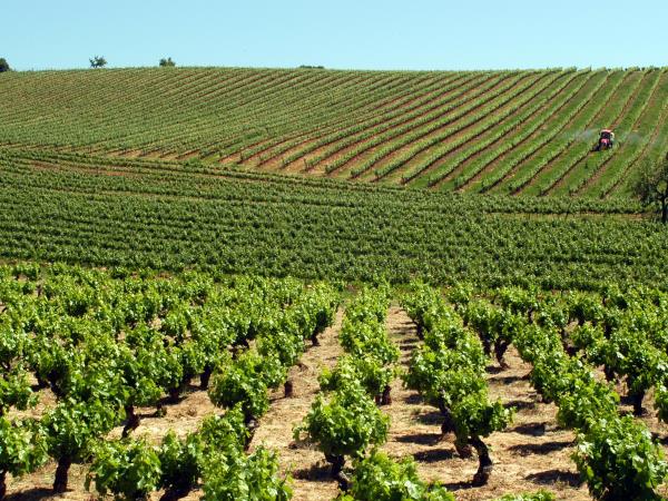 Leon to Santiago de Compostela walking holiday, Spain