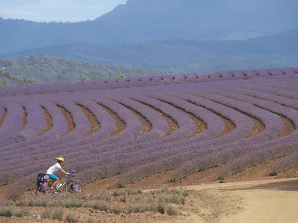 Tasmania self guided cycling holiday, Australia