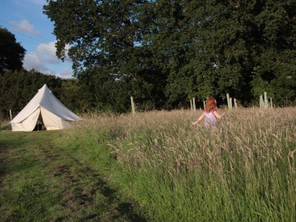 The Secret Campsite in the South Downs, England