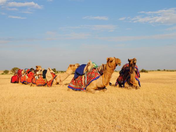 Gujarat cultural holiday, India