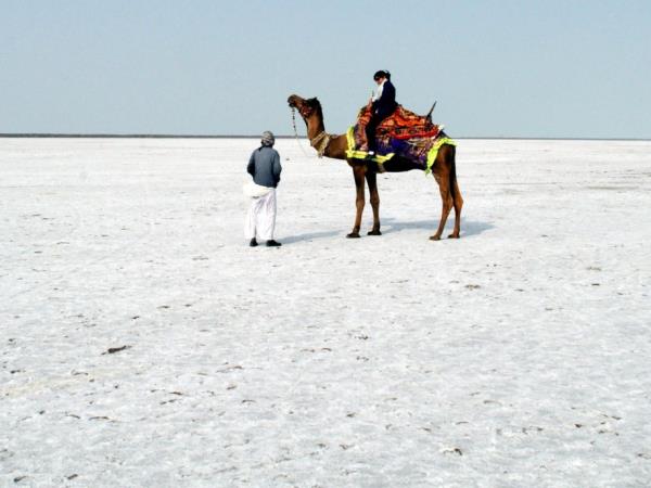 Gujarat cultural holiday, India