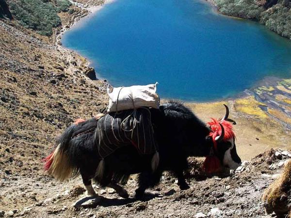 Bhutan cultural tour, history of Bhutan