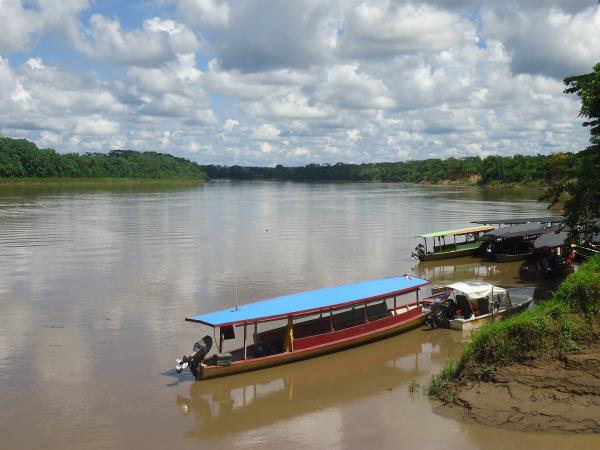Wilds of Tambopata tour, Peru