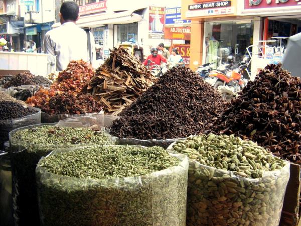 South India food tour, Chennai to Mysore