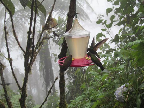 Galapagos & Ecuador holiday for families