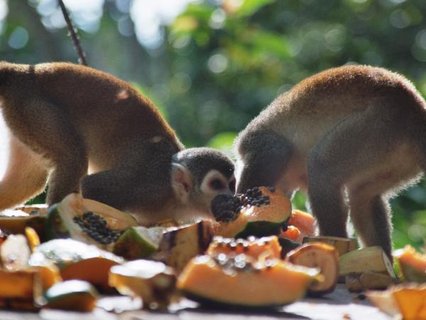 Galapagos & Ecuador holiday for families