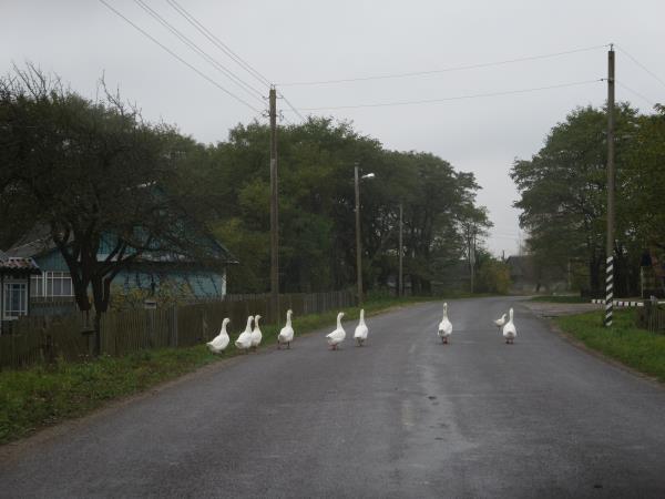 Belarus tour, highlights of Belarus