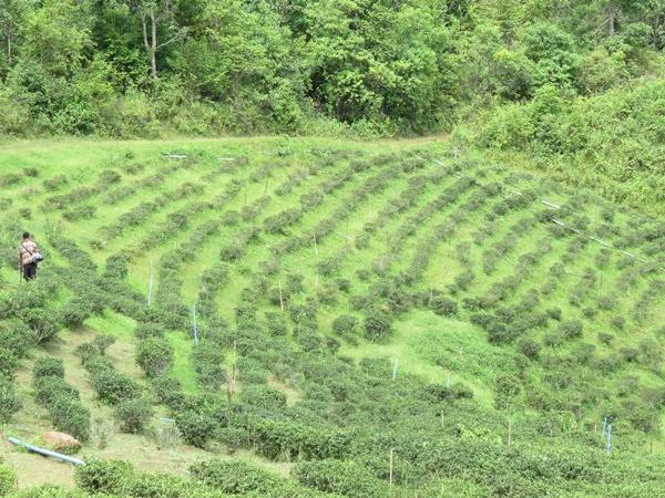 Shan State tour in Myanmar