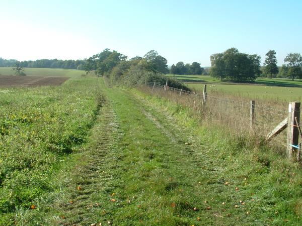 Winchester to Canterbury Pilgrims way