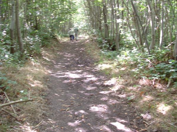 Pilgrims Way Rochester to Canterbury self guided walking tour