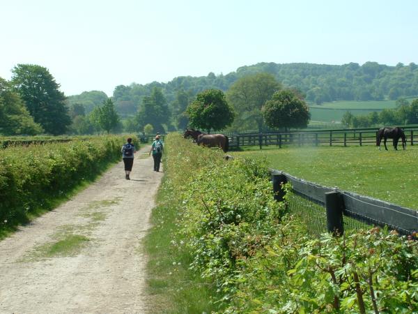 Pilgrims Way Rochester to Canterbury self guided walking tour