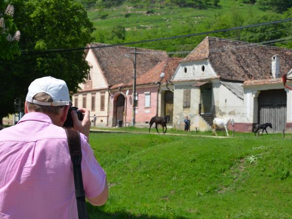 Transylvania walking holiday, Romania