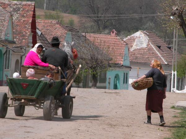 Transylvania walking holiday, Romania