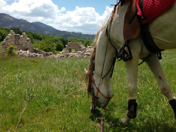Wilderness riding holiday in Montenegro