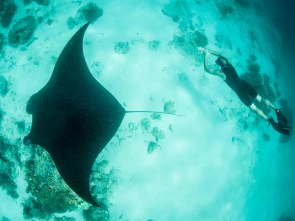 Indonesia snorkelling holiday, Bali & Komodo