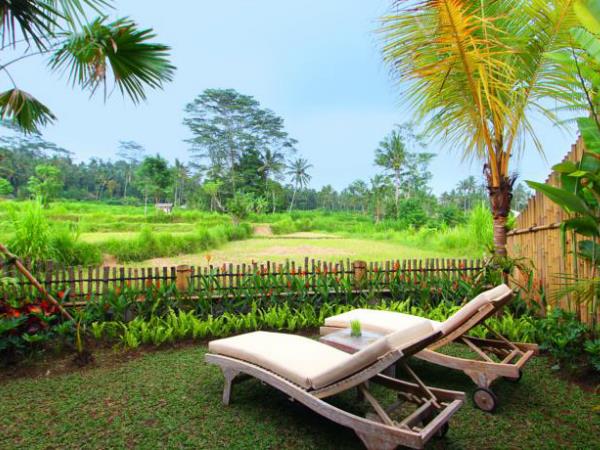 Indonesia snorkelling holiday, Bali & Komodo