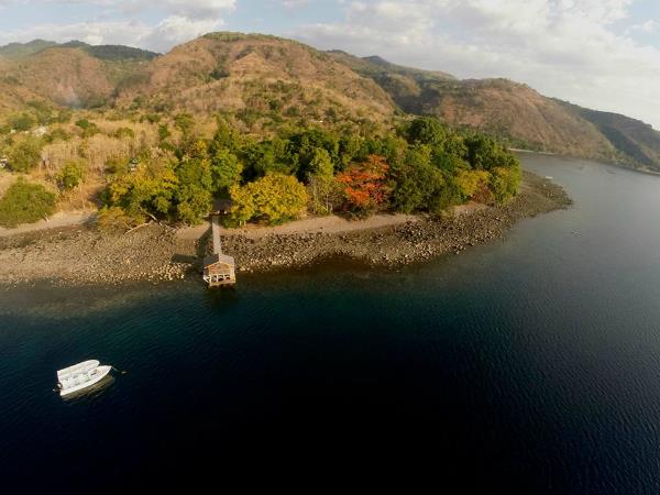 Dive holiday in Indonesia, Alor and Komodo