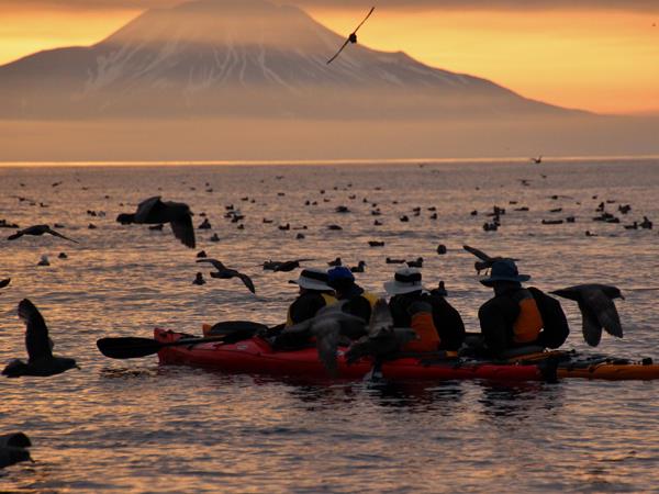 Kamchatka cruise in Russia, ring of fire expedition