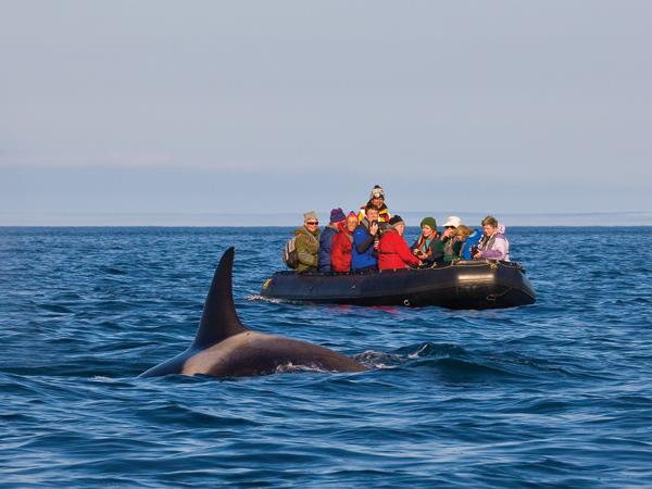 Kamchatka cruise in Russia, ring of fire expedition