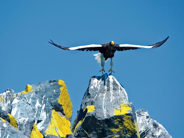 Kamchatka cruise in Russia, ring of fire expedition