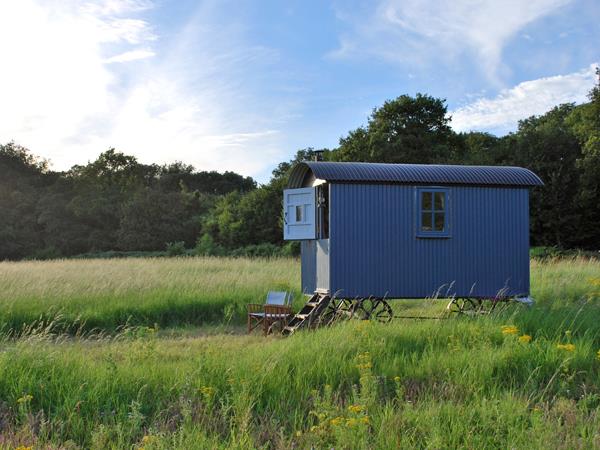 South Downs shepherds hut, sleeps 3, England
