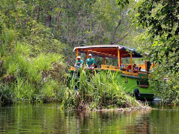 Tanjung Puting orangutan holiday in Borneo
