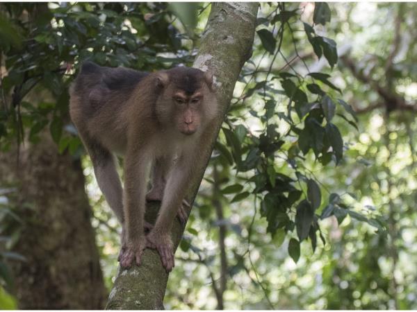 Sumatra fundraising trekking adventure