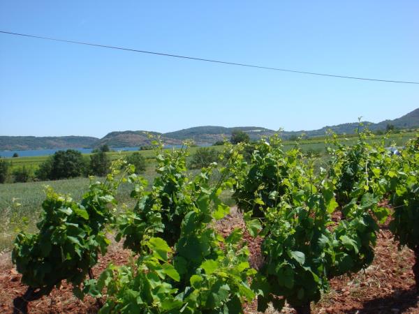 Provence self guided cycling holiday, Ventoux & Luberon