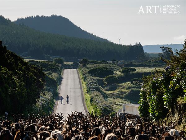 Terceira cycling holiday in the Azores