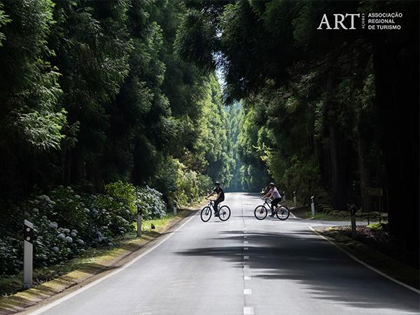 Terceira cycling holiday in the Azores