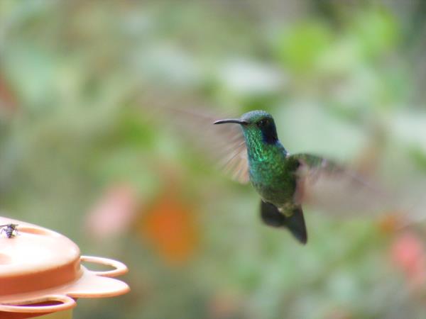 Luxury Peru adventure holiday