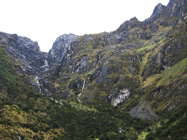 Peru bird watching holiday