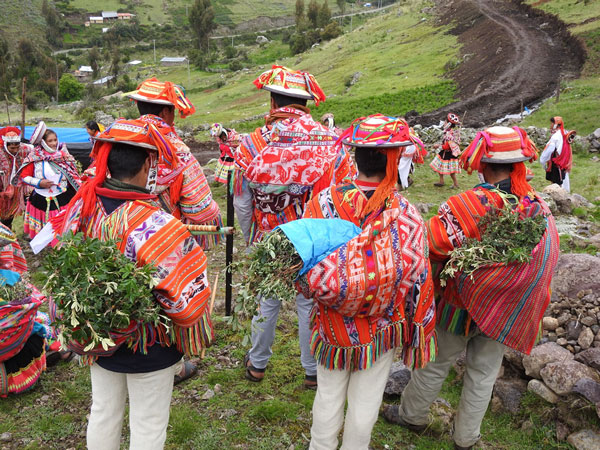 Peru bird watching holiday