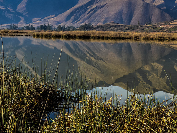 Peru bird watching holiday
