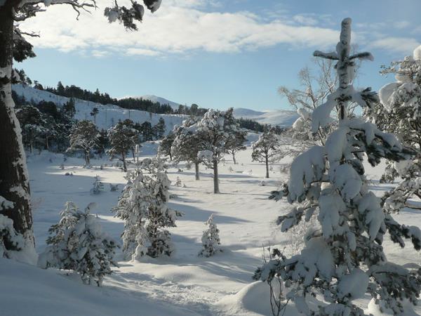Scotland winter walking holidays