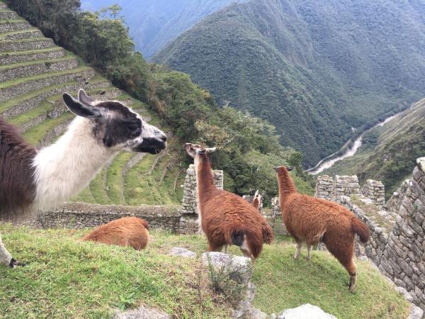 Luxury Peru adventure holiday