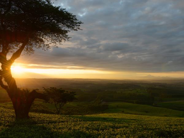 Malawi cultural tour