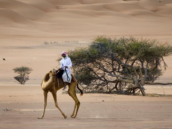 Luxury culture holiday in Oman