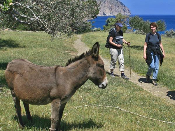 Karpathos and Rhodos walking & cultural holiday, Greece