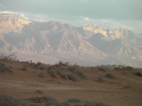 Jordan cultural tour, hosted by Bedouin of Petra