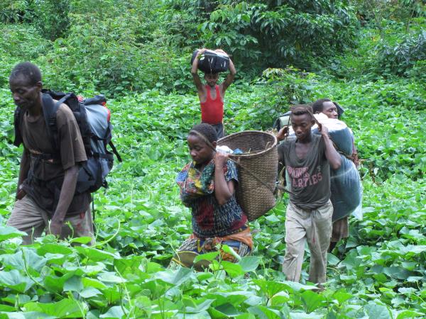 Gorilla safari in the DR Congo