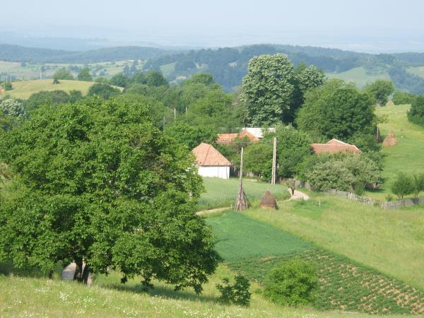 Romania cycling holiday