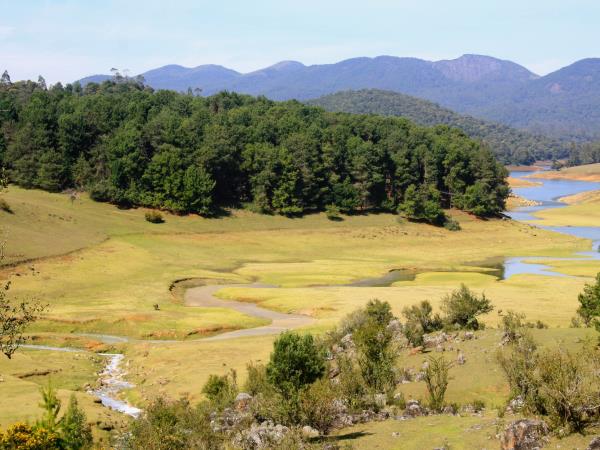 History, culture & wildlife of India holiday