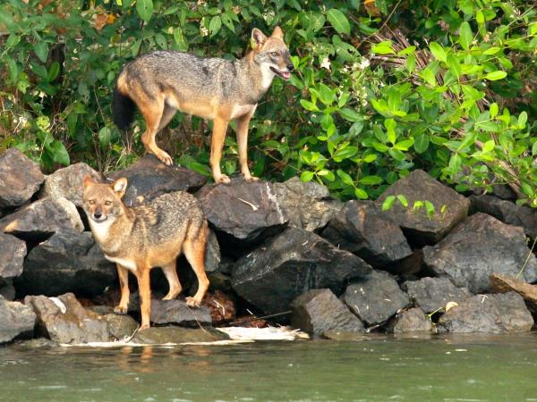 North Kerala tailor made holidays