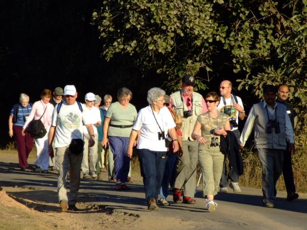 Tigers and rhinos tours in India